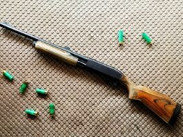 Best Shotgun For Home Defense